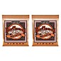 Ernie Ball 2144 Earthwood Phosphor Bronze Medium Acoustic Guitar Strings 2-Pack thumbnail