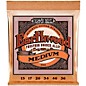 Ernie Ball 2144 Earthwood Phosphor Bronze Medium Acoustic Guitar Strings 2-Pack