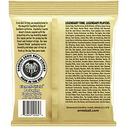 Ernie Ball 2005 Earthwood 80/20 Custom Medium Acoustic Strings 2-Pack