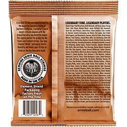 Ernie Ball 2145 Earthwood Phosphor Bronze Custom Light Acoustic Strings 2-Pack