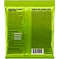 Ernie Ball 2221 Regular Slinky Nickel Wound Electric Guitar Strings 2-Pack