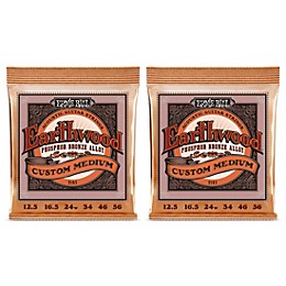 Ernie Ball 2143 Earthwood Phosphor Bronze Custom Medium Acoustic Strings 2-Pack