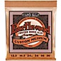 Ernie Ball 2143 Earthwood Phosphor Bronze Custom Medium Acoustic Strings 2-Pack