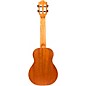 Flight Iris Concert Ukulele Black