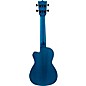 Flight AUC Elise Ecklund Signature Concert Ukulele City