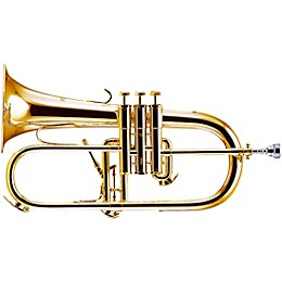 Schilke 1040 FL Custom Series Bb Flugelhorn with Rose Brass Bell Gold Plated