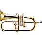 Schilke 1040 FL Custom Series Bb Flugelhorn with Rose Brass Bell Gold Plated thumbnail