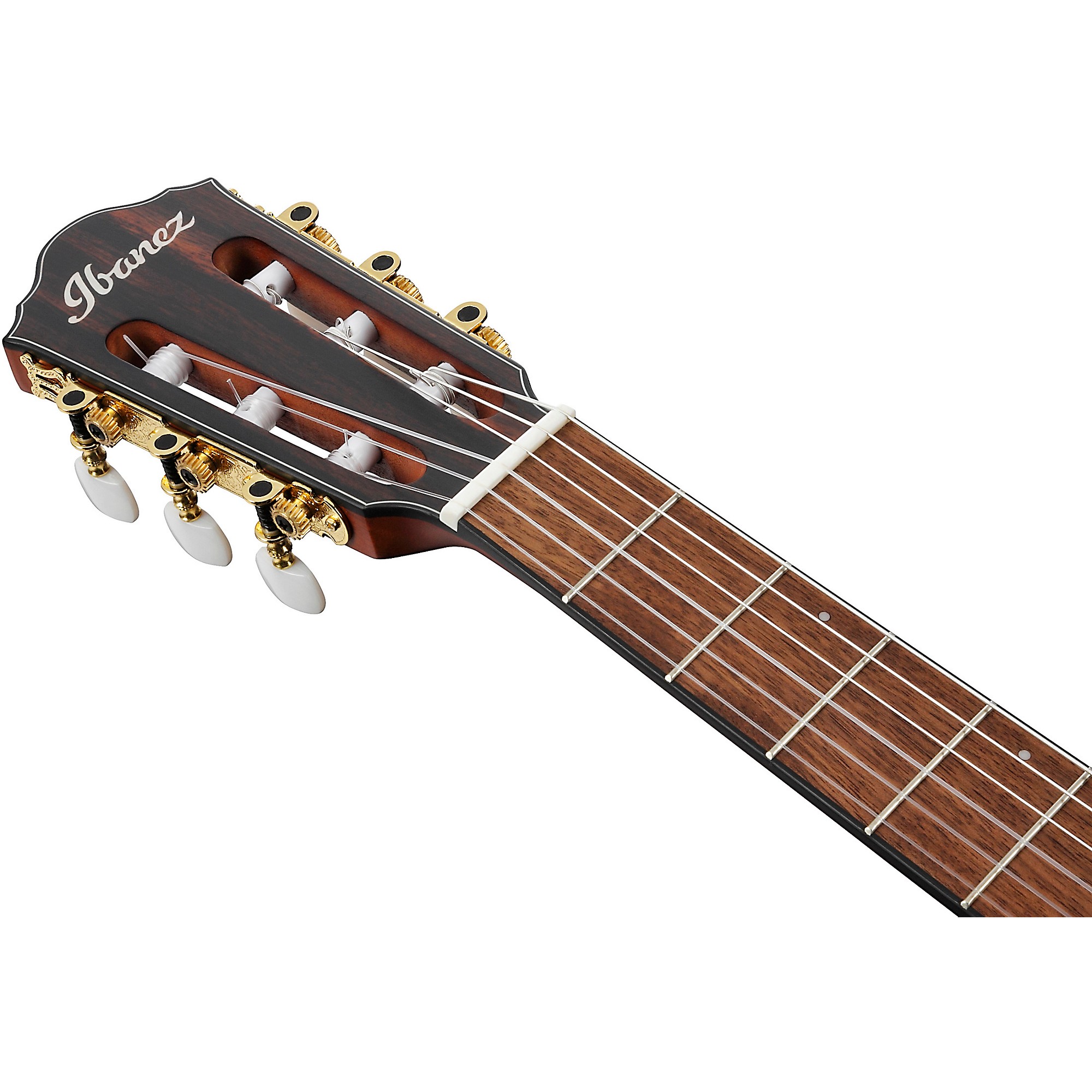 Ibanez FRH10NL Left-Handed Nylon-String Acoustic-Electric