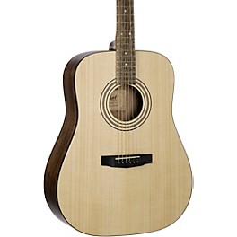 Cort Earth 60 Starter Dreadnought Acoustic Guitar Pack Natural