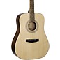 Cort Earth 60 Starter Dreadnought Acoustic Guitar Pack Natural thumbnail