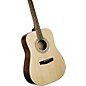 Cort Earth 60 Starter Dreadnought Acoustic Guitar Pack Natural