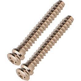 PRS Fiore Fulcrum Screws