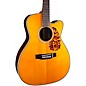 Blueridge BR-163CE Historic Series Cutaway 000 Acoustic-Electric Guitar Aging Toner thumbnail