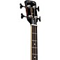 Gold Tone PBB Paul Beard Signature Series Left-Handed Resonator Bass Guitar Tobacco Sunburst