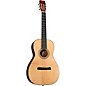 Blueridge BR-341 Historic Series Parlor Acoustic Guitar Natural