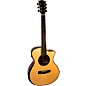 Open Box Merida Procnias Beyond Series GS Acoustic-Electric Guitar Level 1 Natural