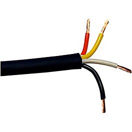 Rapco Horizon GC1-3/4 Bulk 13GA 4... Rapco Horizon GC1-3/4 Bulk 13GA 4 Conductor Speaker Cable (Sold By The FT) 500 ft. Black