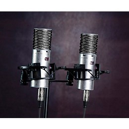 Aston Microphones SPIRIT STEREO PAIR - 2 High-performance, switchable pattern, large diaphragm condenser microphone