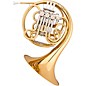 Eastman EFH685G Performance Series Geyer-Knopf Double Horn with Fixed Bell Gold Brass thumbnail