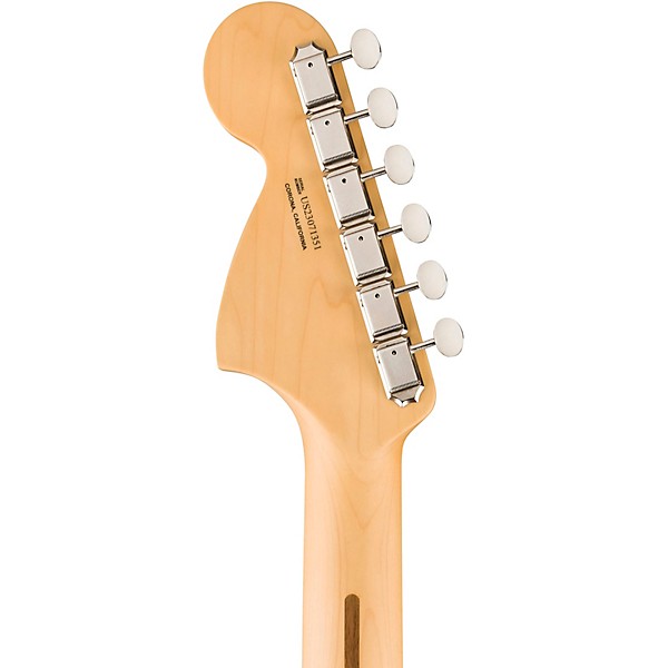 Fender American Performer Timber Stratocaster Sassafras Electric Guitar Mocha