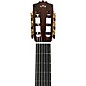 Cordoba C10 CD Nylon-String Classical Acoustic Guitar Natural