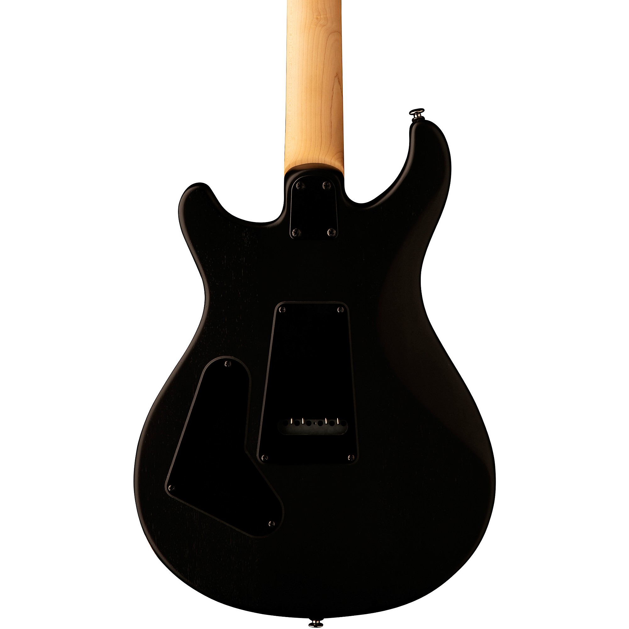 PRS SE Swamp Ash CE 24 Sandblasted LTD Electric Guitar