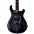 PRS SE Swamp Ash CE 24 Sandblasted LTD Electric ... PRS SE Swamp Ash CE 24 Sandblasted LTD Electric Guitar Sandblasted Purple