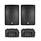 Kustom PA KPX15 15" Passive Speakers With Road Runner Bags thumbnail