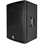 Kustom PA KPX15 15" Passive Speaker Pair
