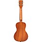 Kala Surf Concert Ukulele Swell