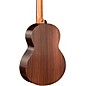 Sheeran by Lowden W05 Mini Parlor Acoustic-Electric Guitar Natural