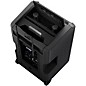 LD Systems ANNY 10 Portable Battery-Powered Speaker With Dual Wireless Handheld Mics B5.1