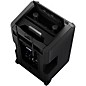 LD Systems ANNY 10 Portable Battery-Powered Speaker With Dual Wireless Handheld Mics B4.7