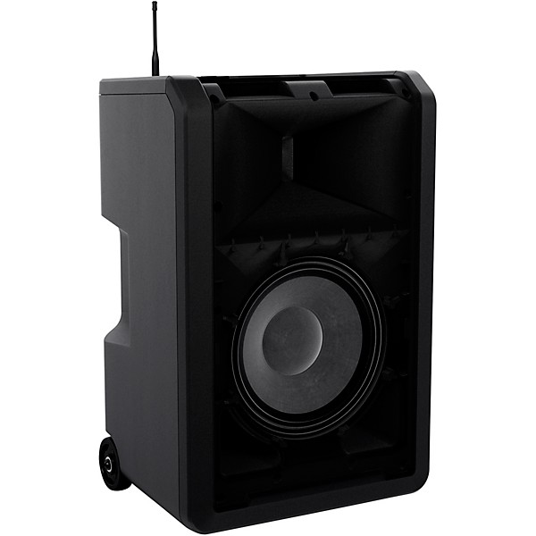 LD Systems ANNY 10 Portable Battery-Powered Speaker With Wireless Handheld Mic B5.1