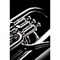 Willson WEUQ90 Q-Series Professional Large Shank Compensating Euphonium Silver Plate