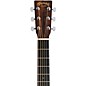 Martin D-X1E Special X Series HPL Ziricote Dreadnought Acoustic-Electric Guitar Natural