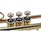 Pearl Belsona BTPT200 Series Student Trumpet Lacquer