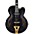 Ibanez Pat Metheny Signature Electric Guitar Black Low Gloss Ibanez Pat Metheny Signature Electric Guitar Black Low Gloss