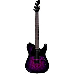 ESP LTD TE-200DX Electric Guitar Purple Burst