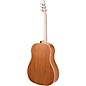 Applause AAS-69 Jump Series Slope Shoulder Dreadnought Acoustic Guitar Lipstick