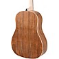 Applause AAS-69 Jump Series Slope Shoulder Dreadnought Acoustic Guitar Celeste