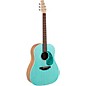 Applause AAS-69 Jump Series Slope Shoulder Dreadnought Acoustic Guitar Celeste