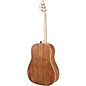 Applause AAS-69 Jump Series Slope Shoulder Dreadnought Acoustic Guitar Celeste