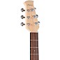 Applause AAS-69 Jump Series Slope Shoulder Dreadnought Acoustic Guitar Celeste