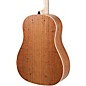 Applause AAS-69 Jump Series Slope Shoulder Dreadnought Acoustic Guitar Peach