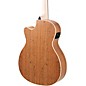 Applause AEO-69 Jump Series OM Acoustic-Electric Guitar Celeste