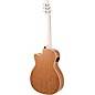 Applause AEO-69 Jump Series OM Acoustic-Electric Guitar Celeste