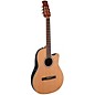 Applause AB24CC-4S Traditional Series Mid-Depth Cedar Nylon-String Classical Acoustic-Electric Guitar Natural