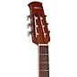 Applause AB24CC-4S Traditional Series Mid-Depth Cedar Nylon-String Classical Acoustic-Electric Guitar Natural