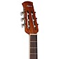 Applause AB24CS-4S Traditional Series Mid-Depth Spruce Nylon-String Classical Acoustic-Electric Guitar Natural